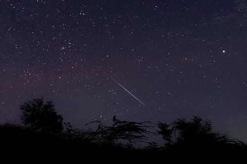 你不知道的流星雨 冷知识 它真的跟星座有关吗