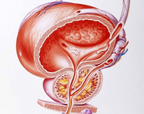 伤害前列腺的3个行为,一半的男性都在做,看看有你吗
