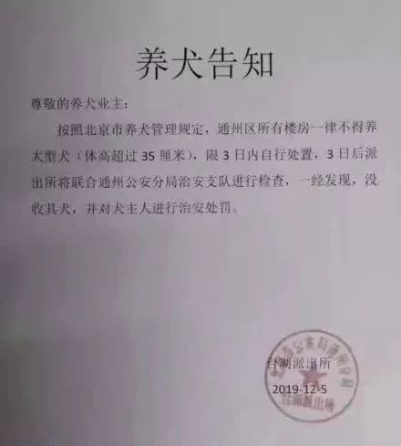 北京通州禁养条例出台,宠物医院安乐死排起了长队