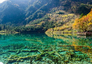 九寨沟旅游行程推荐,九寨沟旅游线路攻略,九寨沟自助游攻略 马蜂窝 