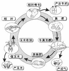 9.阅读下列材料.回答问题. 材料 海峡西岸经济区是相对海峡东岸台湾提出的.是以福建为主体.涵盖周边区域.对应台湾峡.具有自身特点.自然集聚.独特优势的区域经济综合体 