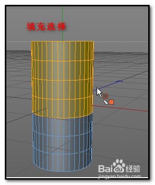 c4d填充选择是什么意思(c4d选择工具没有循环选择)