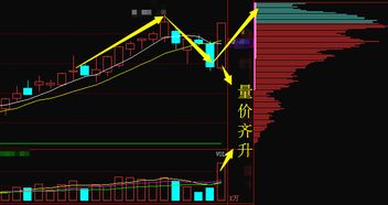 福莱新材主力资金大幅流入（202X年7月28日）