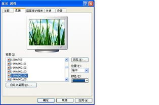 电脑进入windows XP 后黑屏，是出了什么问题？