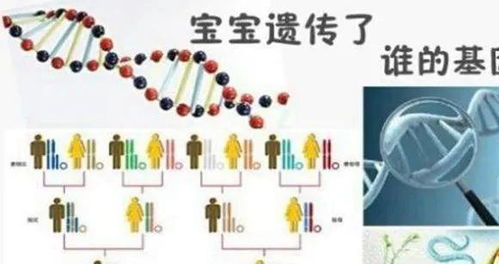 妈妈容易遗传给男孩这些 基因 ,还挺准,看看你和你家娃像几个