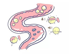 肠道病知识