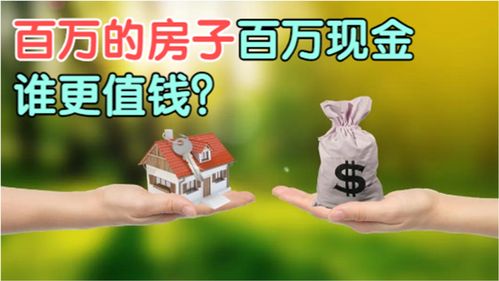 一年能挣100万的小生意 (做生意一年赚100万难吗)