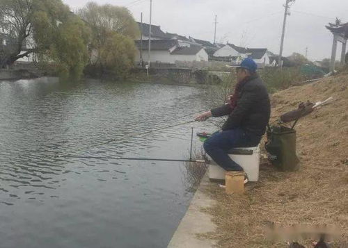 试比较柯林斯与早期冲突理论的主要区别 试比较柯林斯与早期冲突理论的主要区别 行情