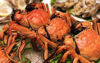 螃蟹和柿子可以一起吃吗，为什么螃蟹不能和柿子一起吃