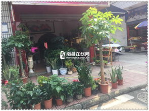 花店店名有意境