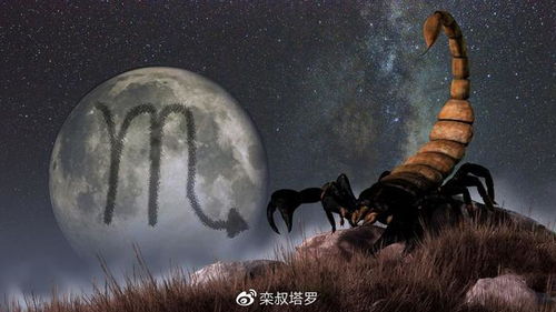 栾叔塔罗 十二星座今日运势指南 2020年7月1日