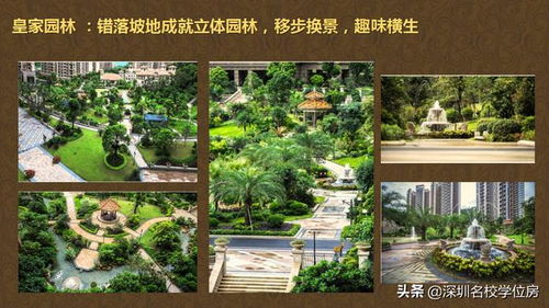 2020深圳 淘金山二期 房源信息 罗湖 具体位置