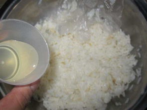怎样才能去除烧糊的米饭或稀饭中的糊味 
