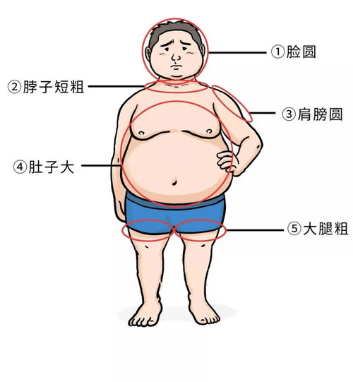 胖胖的男生如何穿搭 解决男生身材烦恼的有效手段