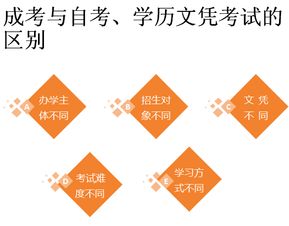 大专学历怎么自考 学历文凭考试是什么