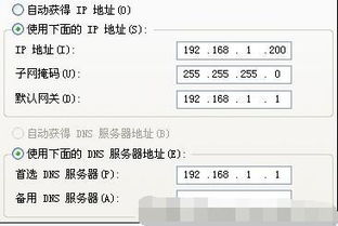 用nslookup命令测试为什么总是报错？