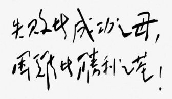 失败乃成功之母名言