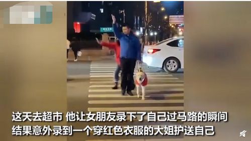 网友本想记录导盲犬如何过马路,陌生大姐意外入镜,一串举动超暖心