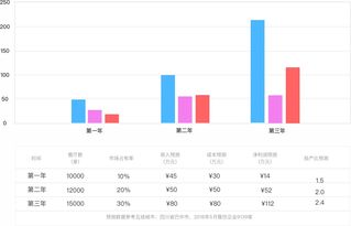 国家开发投资公司上市