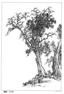 山水画树的画法，山水画树的画法步骤图