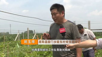 原阳 脱贫户刘相林踏上玫瑰葡萄致富路