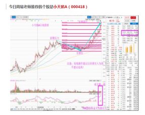 股票十大流通股东中有香港中央结算有限公司 是好是坏