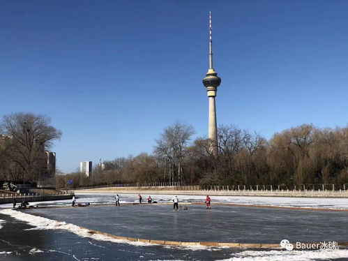 与包尔冰球一起 用池塘冰球温暖这座城市