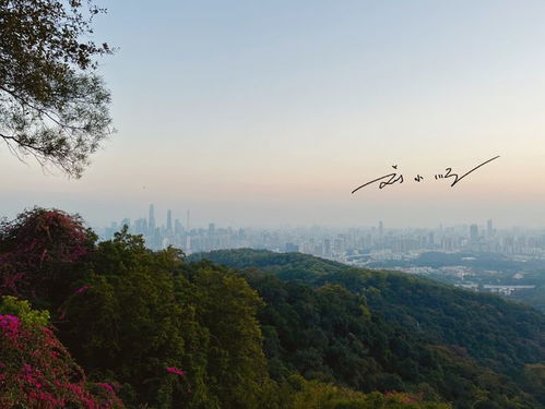 广州白云山门票,白云山门票多少钱-第4张图片