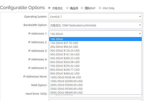 租用美国高防服务器有哪些优势