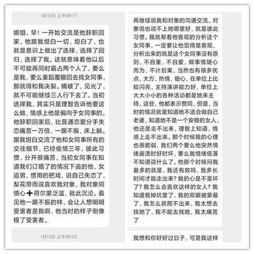 我的公务员丈夫,出轨后被小三逼辞职,哭着求我救救他 郑凯 