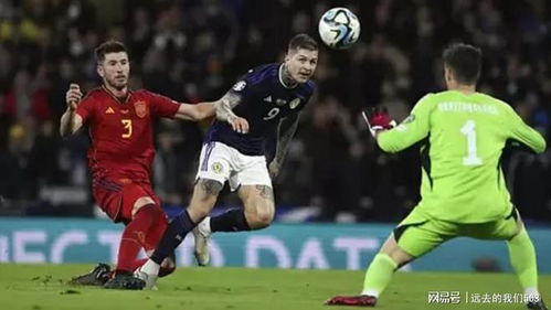 欧洲杯预选赛 赛程西班牙vs苏格兰,欧州杯赛程