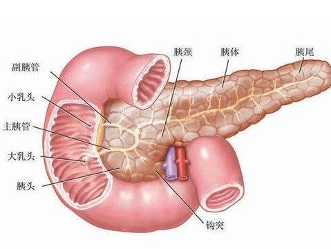 胰腺癌怎么引起的 3大恶习不改,胰腺癌永远偏爱你 