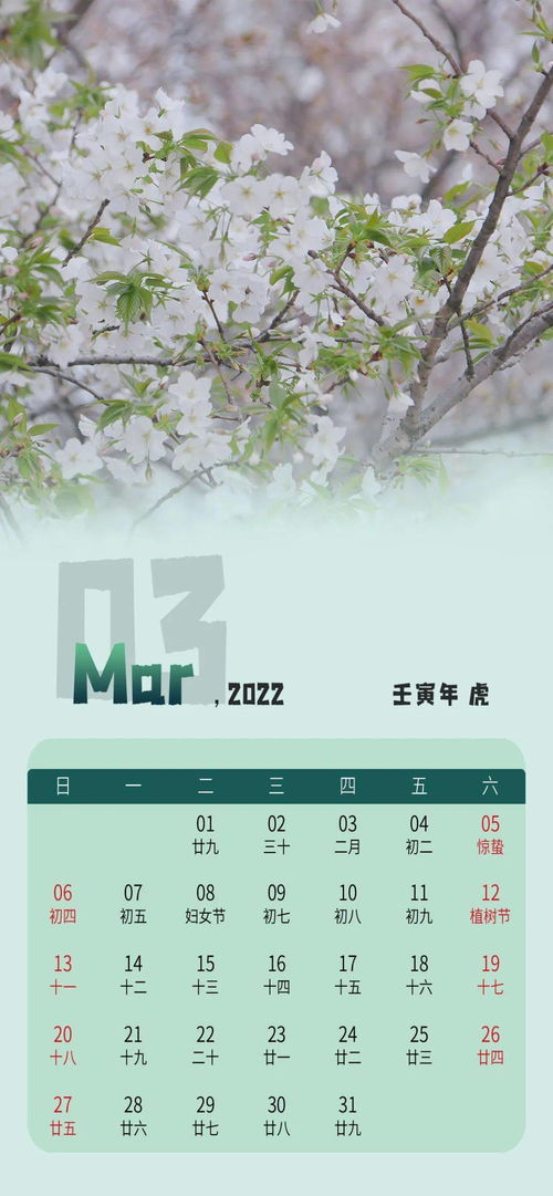 来了家人们 2022年超A衢州日历给您发货啦