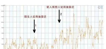 代入公式查重背后的科学原理