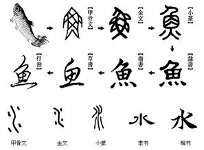 水的象形字图片 图片欣赏中心 急不急图文 Jpjww Com