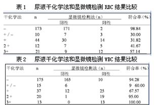 尿液镜检在尿液检查中的重要性