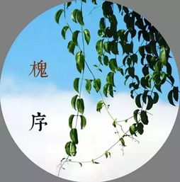 农历五月又叫什么季节(农历五月是属于哪个季节)