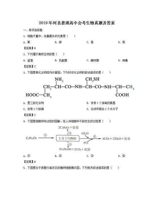 2020年石家庄考点gmat考试,GMAT考试在哪里考