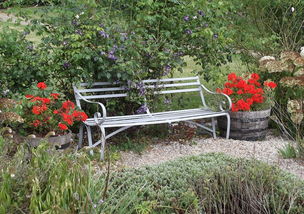 长凳,花园,红色,植物,鲜花,宁静,座位,户外,放松,自然,和平,平静 