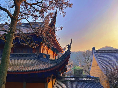 杭州寺庙攻略 灵隐寺 灵顺寺 