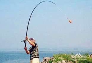 夏天用8.1米的鱼竿,钓鱼人生盛夏挥竿，尽享江湖之乐！,第4张