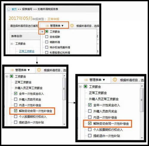 个人所得税免税申报怎么报？