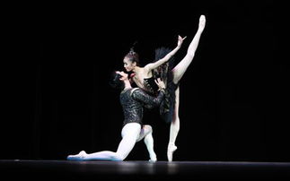 长沙黑天鹅舞蹈培训学校：舞出自信，绽放魅力