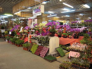 世界上最大的花卉市场,如何用小细节撬开消费者口袋