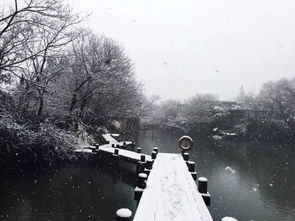 杭州这回的雪下得挺大,西湖景区西湖街道的雪下得好大，市民出行需要注意哪些问题？(图2)