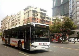 贵州省公务员考试本周六开考,黔南州15个考点的公交路线先知道