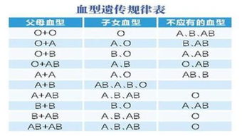 父母血型A和AB孩子什么血型 