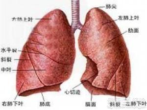 先天性肺囊性病