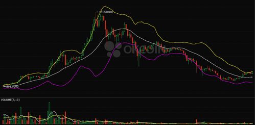 bch币价格预测,后，比特币现金（BCH）的价格会是多少