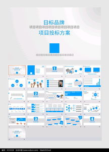 投标方案模板内容(投标方案是什么意思)